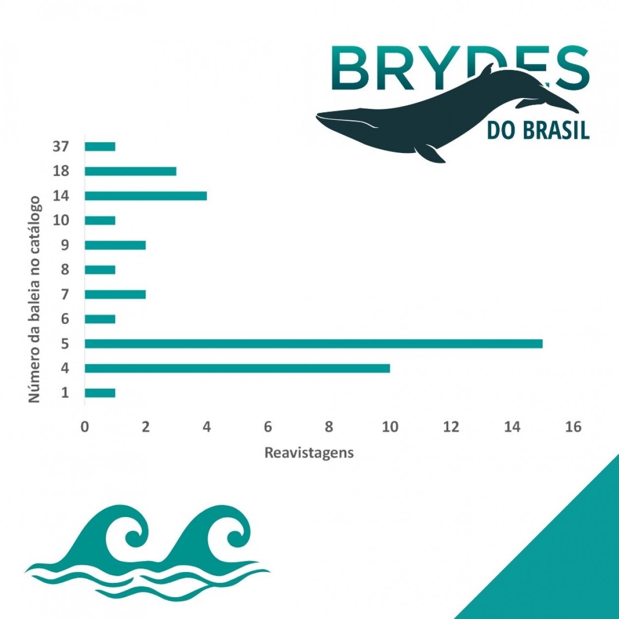 Imagem Brydes do Brasil