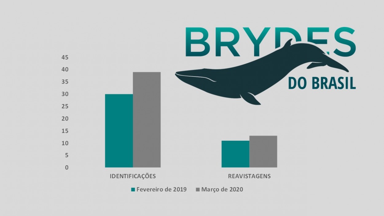 Imagem Brydes do Brasil